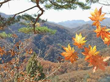 横县最新招聘，白天班岗位信息一览